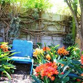 Spring Bloom Kiekies